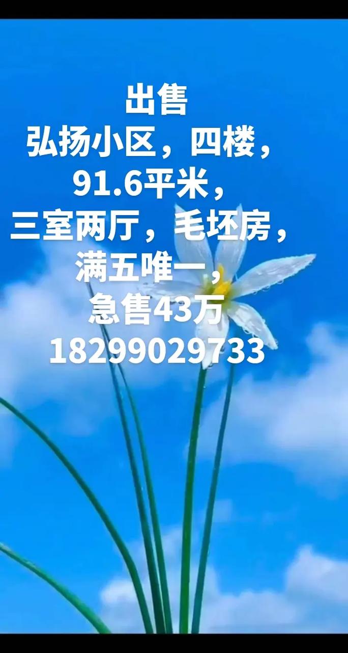 形容楼盘好卖的词语