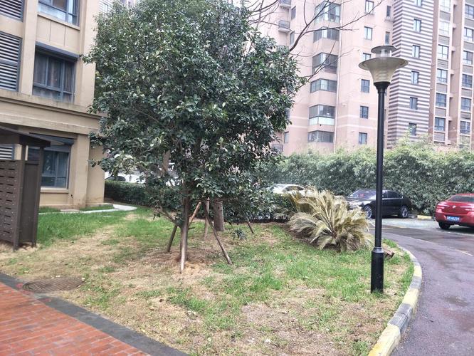 阳光名苑房价