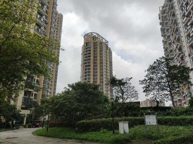 梦琴湾房价