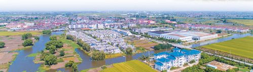 张泽镇房价