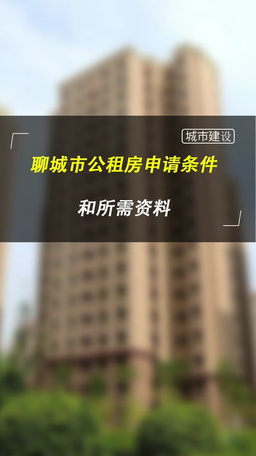 聊城公租房怎么复审