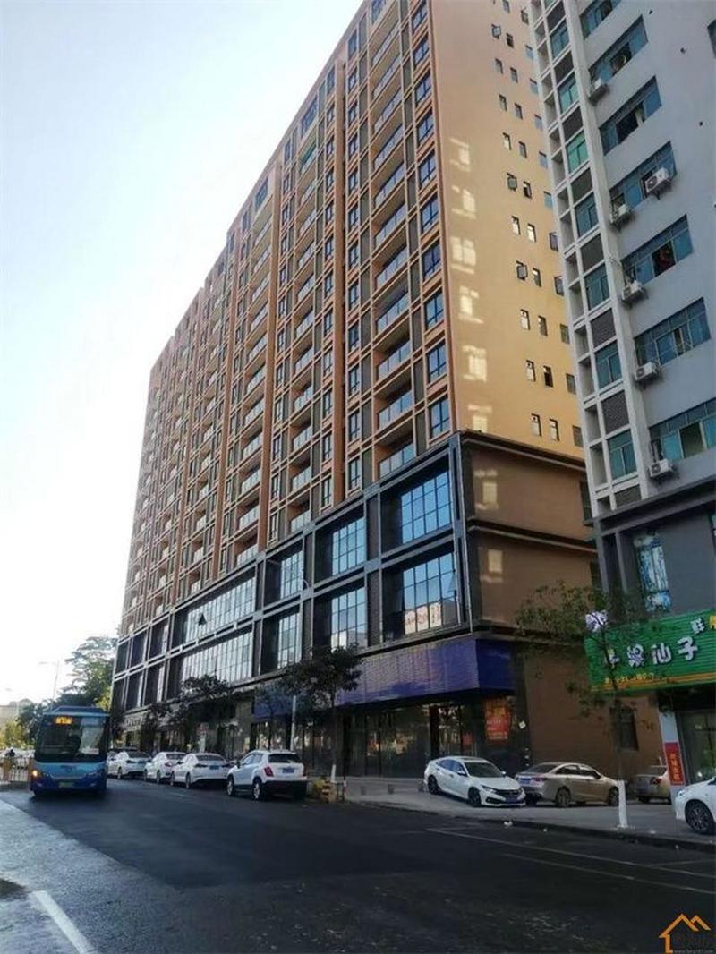 凤岗最新楼盘