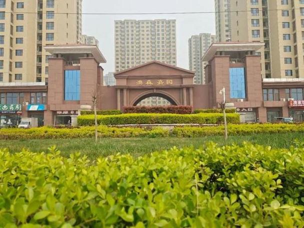 河北辛集新楼盘出售
