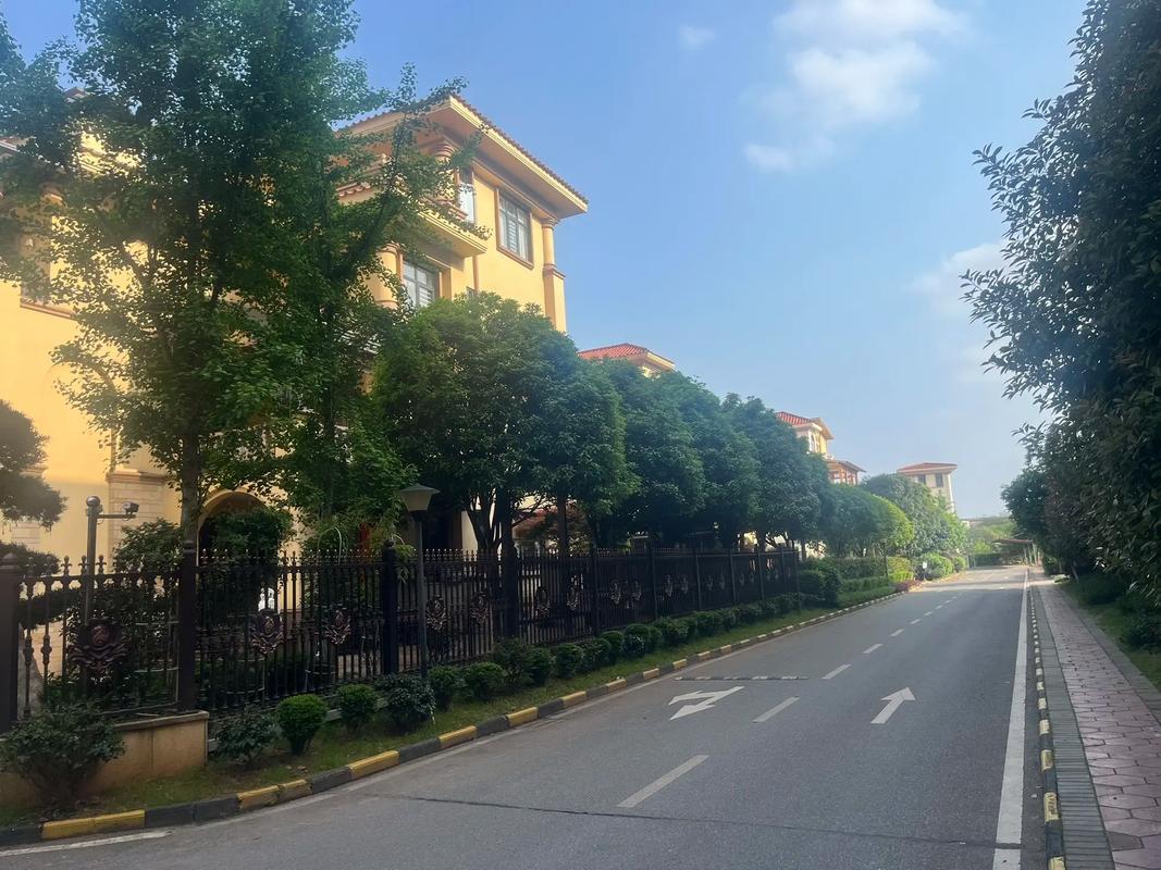 株洲市别墅楼盘