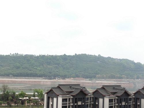 东坡岛上哪个楼盘好