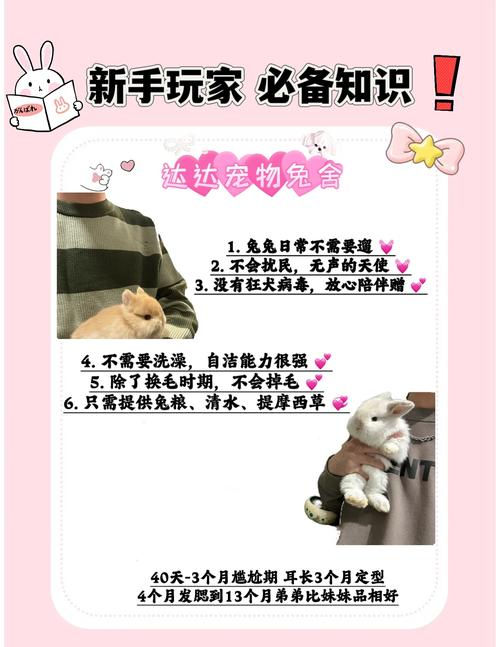 兔子怎么租房最省钱
