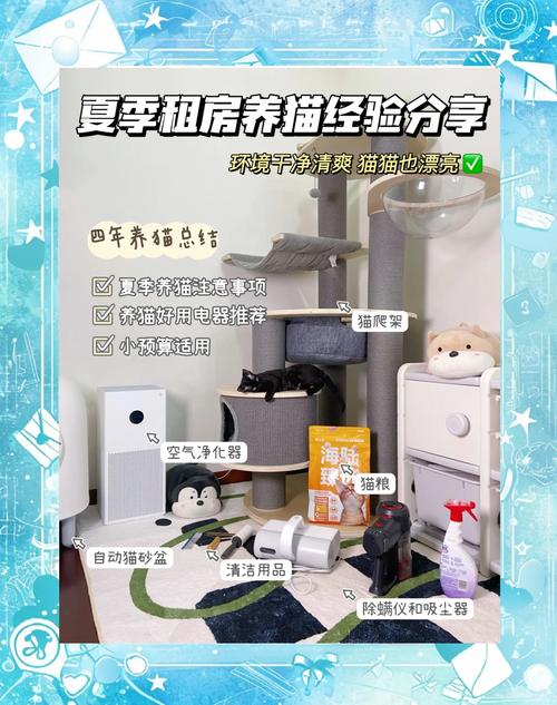 想养猫怎么租房呢
