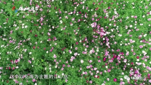 美景之二免费多少