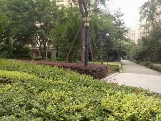 金花房价