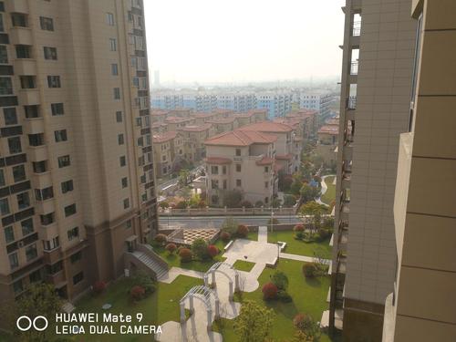 麻城哪个新楼盘好