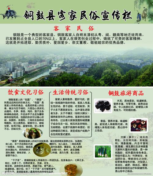 江西铜鼓房价