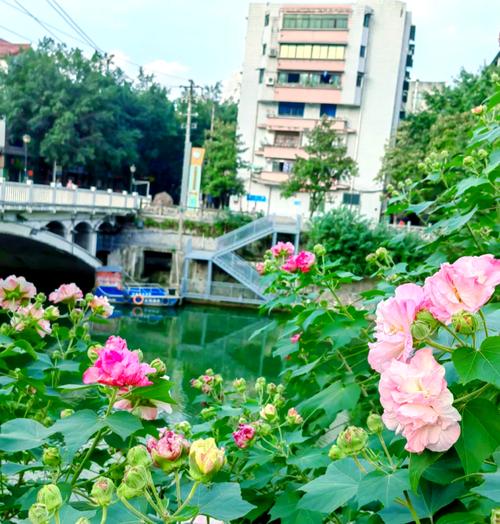 肇庆芙蓉花园