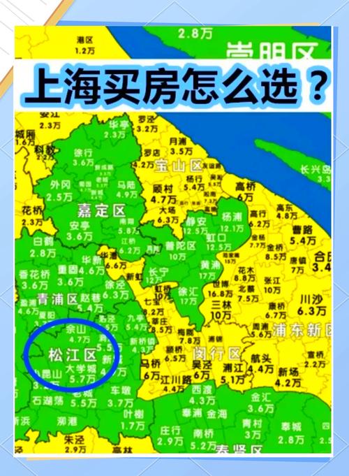松江塔汇中心村房价