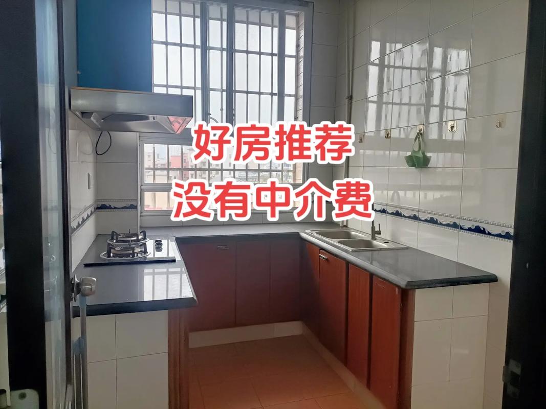 菠萝租房怎么搜不到