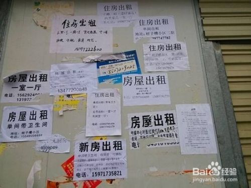 深圳租房心声怎么写