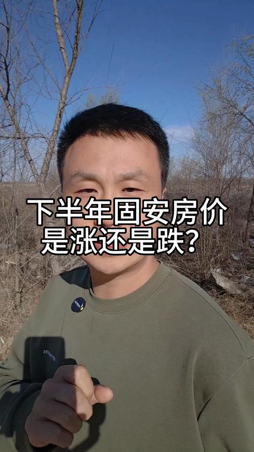 固安房价会2020年