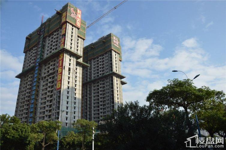 中南明珠房价