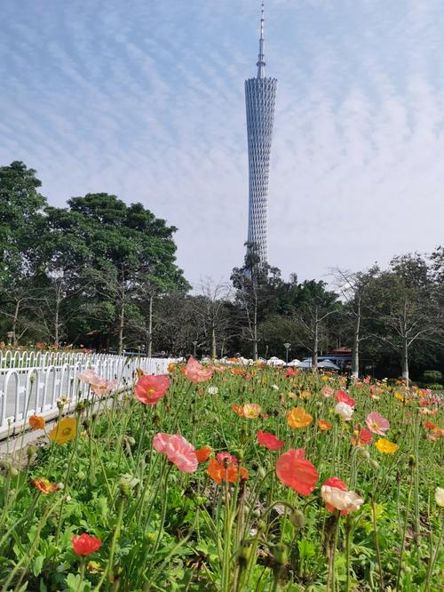 从化宏城花园