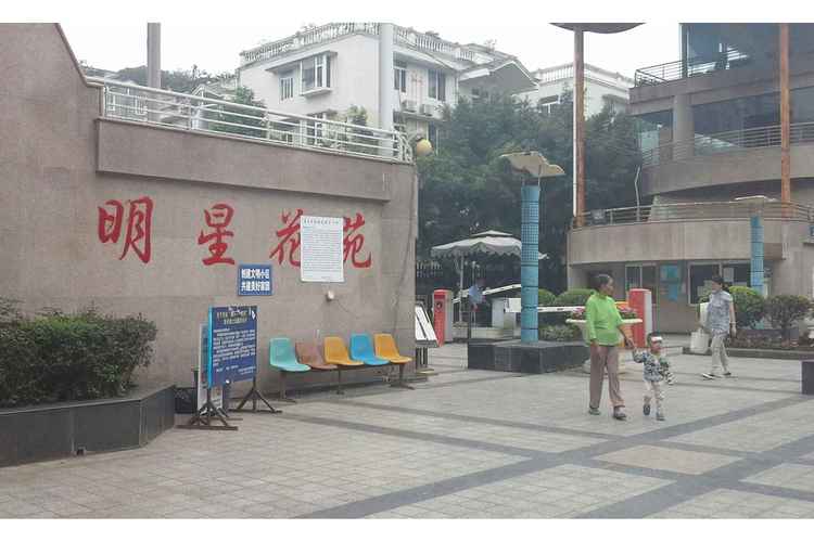 星照人家花园