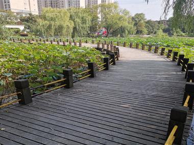 滁州城市花园