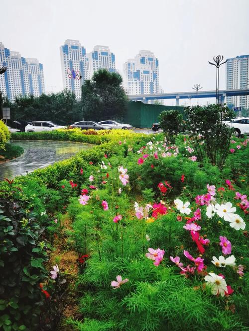 西宁湟水花园