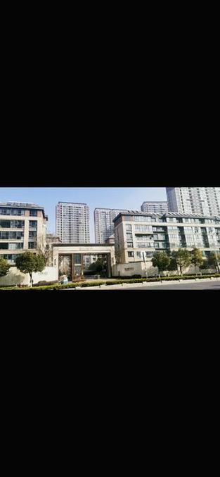 蓝光花园1号