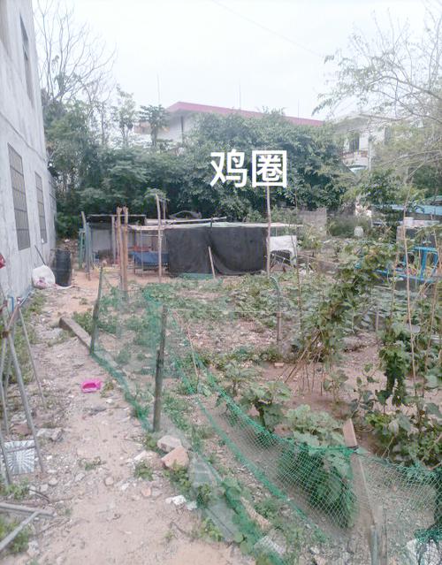 租房空地怎么利用好