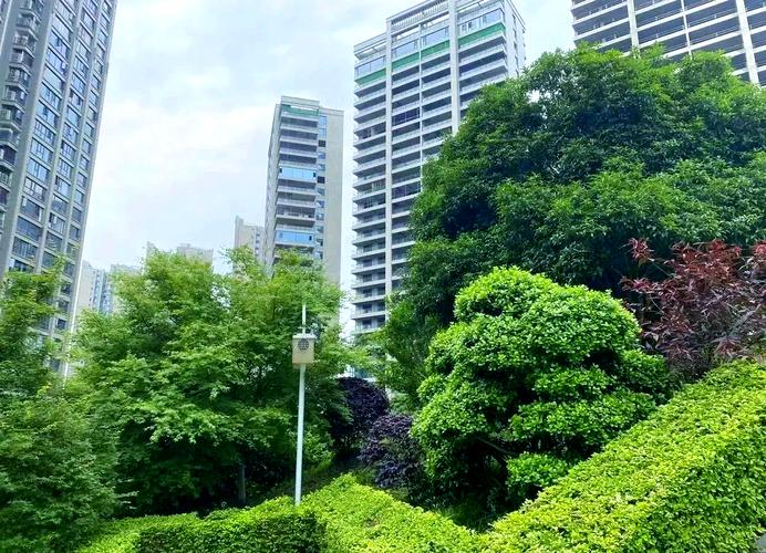 观沙岭房价