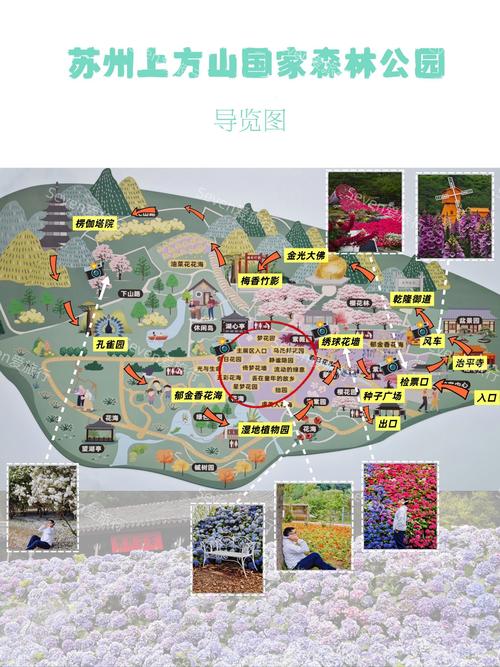 东方花园地图