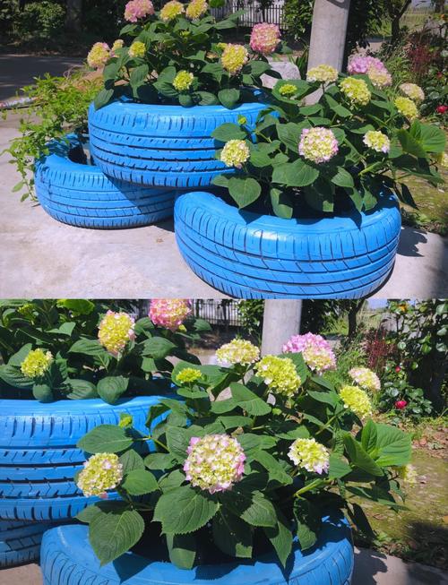 旧轮胎改造花园