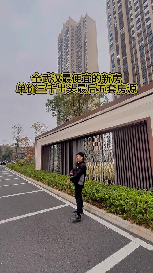 武汉近期交房的楼盘