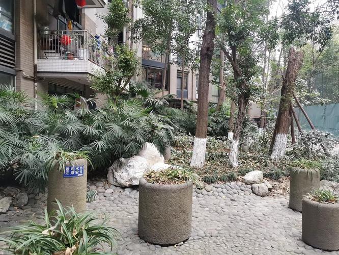 丽都花园b区