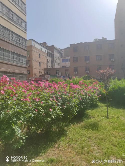 聊城聊医花园