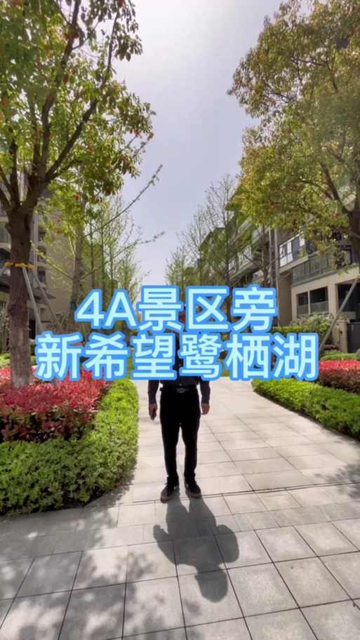 湘家荡房价