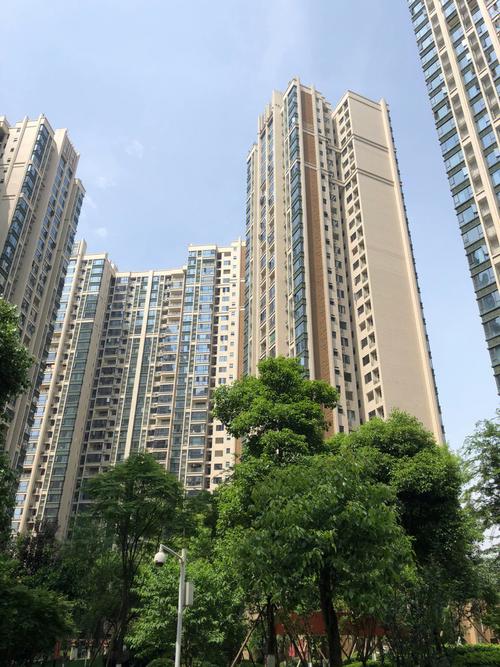 天府新区学区房楼盘