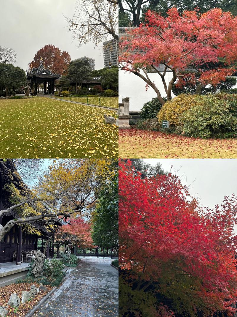 私家花园名称