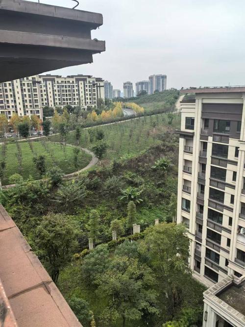 菜家金科楼盘