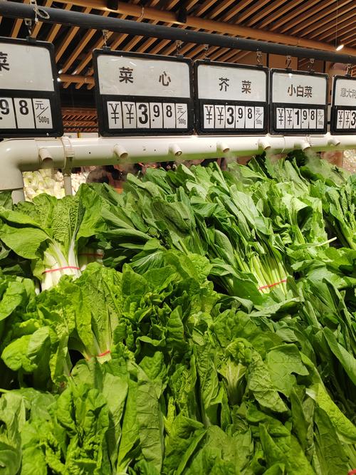 大菜市房价