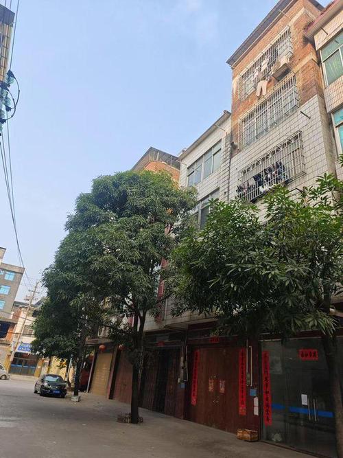 宾阳黎塘房价