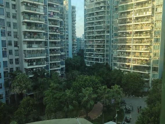 城市明珠房价