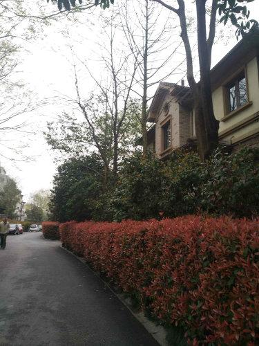 嘉兴香格里拉楼盘