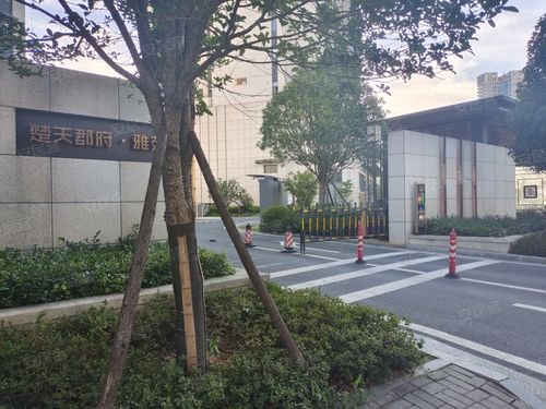 楚天雅房价