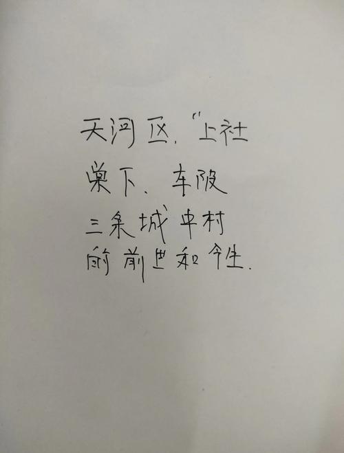 乡镇租房现状怎么写