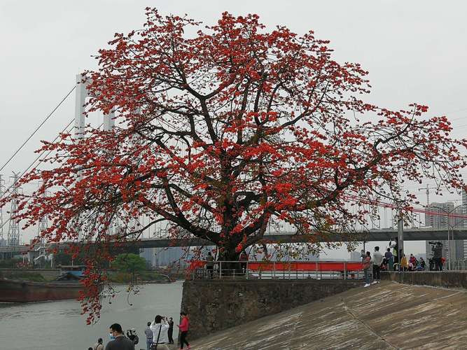 尖东半岛花园