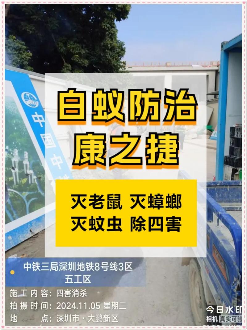 深圳租房怎么消虫虫