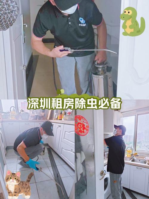 深圳租房怎么消虫虫