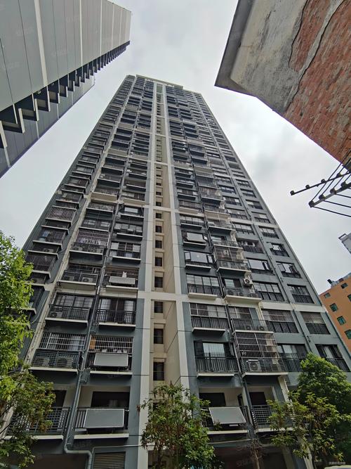 教育路房价