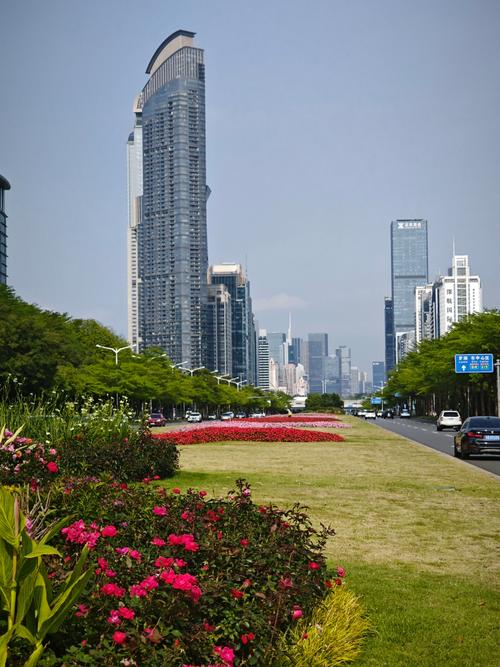深圳花园路