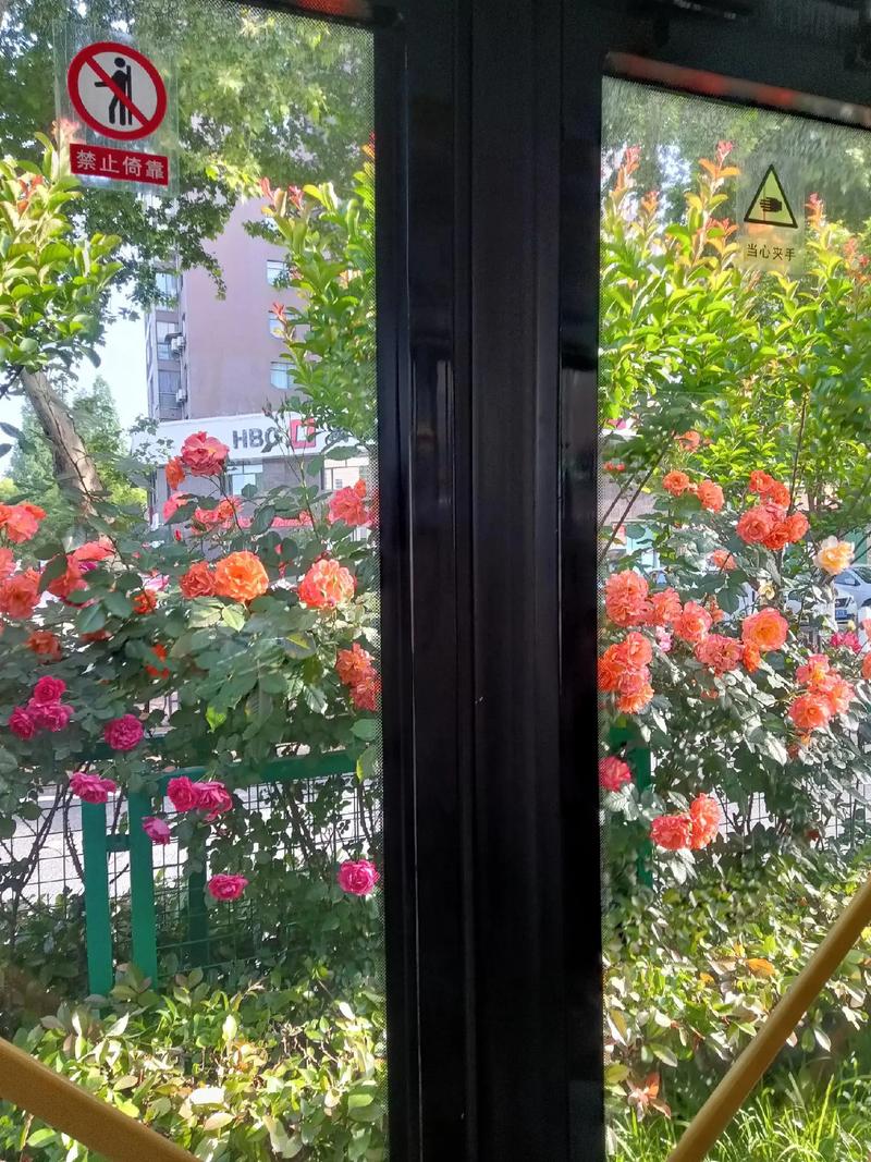 襄阳檀溪花园