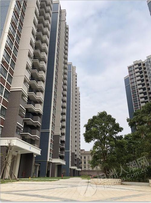 坦洲嘉德花园售价
